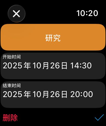 WorkHours Watch 应用 - 单条记录